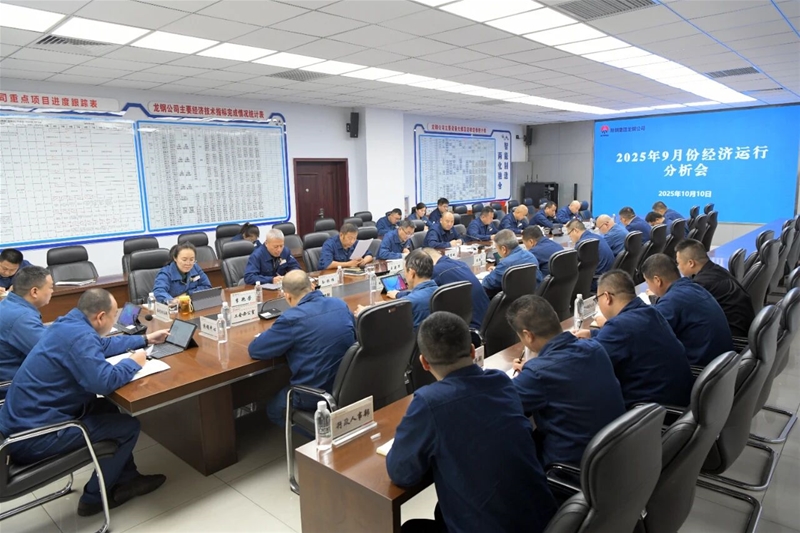 認(rèn)清形勢主動(dòng)作為全力助推企業(yè)扭虧脫困——公司召開9月份經(jīng)濟(jì)運(yùn)行分析會(huì)